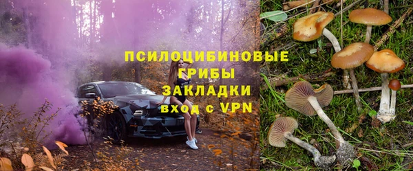 индика Орск