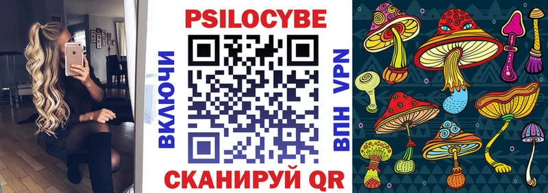 где купить наркотик  Верхнеуральск  Галлюциногенные грибы Psilocybe 